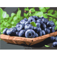 Картина за номерами. Art Craft "Соковита Елізабет" 40x50 см 12006-AC ArtCraft Арт:15135 Картина за номерами. Art Craft "Соковита Елізабет" 40x50 см 12006-AC ArtCraft Арт:15135