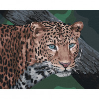 Картина за номерами "Дикий погляд" Ідейка KHO4300 40х50 см Ідейка Арт:23316 Картина за номерами "Дикий погляд" Ідейка KHO4300 40х50 см Ідейка Арт:23316