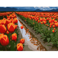 Картина за номерами. Art Craft "Поля в Голландії" 40x50 см 10524-AC ArtCraft Арт:15669 Картина за номерами. Art Craft "Поля в Голландії" 40x50 см 10524-AC ArtCraft Арт:15669