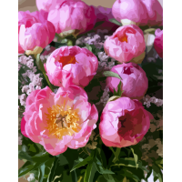 Картина за номерами. Art Craft "Рожевий шарм" 40x50 см 12125-AC ArtCraft Арт:15584 Картина за номерами. Art Craft "Рожевий шарм" 40x50 см 12125-AC ArtCraft Арт:15584