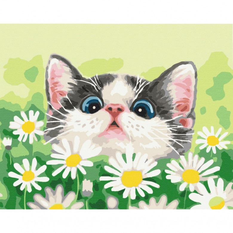 Картина за номерами "Котик в ромашках" Brushme BS51569 40х50 см Brushme Арт:30345