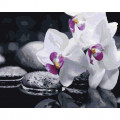 Картина за номерами "Квіти дзену" Brushme BS21140 40х50 см Brushme Арт:28924