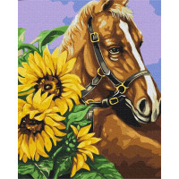 Картина за номерами "Скакун в соняшниках" Brushme BS52898 40х50 см Brushme Арт:30362 Картина за номерами "Скакун в соняшниках" Brushme BS52898 40х50 см Brushme Арт:30362