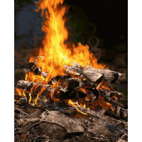 Картина за номерами. Brushme "Багаття" GX21741, 40х50 см Brushme Арт:9313