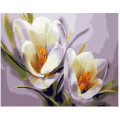 Картина за номерами. Brushme "Крокуси" GX5828, 40х50 см Brushme Арт:11858