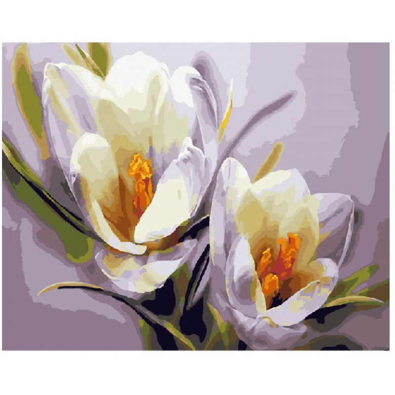 Картина за номерами. Brushme "Крокуси" GX5828, 40х50 см Brushme Арт:11858
