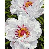 Картина за номерами "Білі півонії" ©ArtAlekhina Ідейка KHO3243 40х50 см Ідейка Арт:33502 Картина за номерами "Білі півонії" ©ArtAlekhina Ідейка KHO3243 40х50 см Ідейка Арт:33502