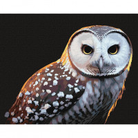 Картина за номерами "Гордий погляд" Ідейка KHO4395 40х50 см Ідейка Арт:27113 Картина за номерами "Гордий погляд" Ідейка KHO4395 40х50 см Ідейка Арт:27113