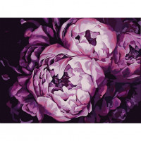 Картина за номерами "Помпезні півонії" Bambi 13131-NN 30х40 см Bambi Арт:26315 Картина за номерами "Помпезні півонії" Bambi 13131-NN 30х40 см Bambi Арт:26315