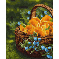 Картина за номерами "Сонце у кошику" Ідейка KHO5602 40х50 см Ідейка Арт:26042 Картина за номерами "Сонце у кошику" Ідейка KHO5602 40х50 см Ідейка Арт:26042