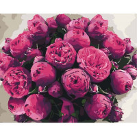 Картина за номерами. Art Craft "Загадкові півонії" 40x50 см 13102 ArtCraft Арт:14605