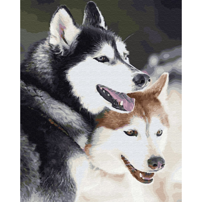 Картина за номерами. Brushme "Хаскі" GX28714 Brushme Арт:11376