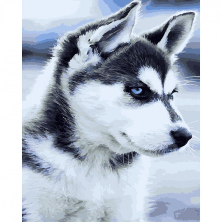 Картина за номерами. Brushme "Щеня хаскі" GX21714, 40х50 см Brushme Арт:10480