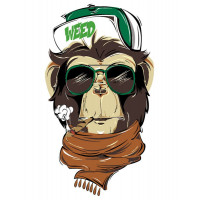 Картина за номерами. Rosa "Brutal Gorilla" 35х45см N00013211 Rosa Арт:13310