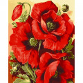 Картина за номерами "Маковий колір" Art Craft 13129-AC 40х50 см ArtCraft Арт:23841