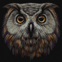 Картина за номерами "Птах мудрості" KHO4388 40х40 см Ідейка Арт:26821 Картина за номерами "Птах мудрості" KHO4388 40х40 см Ідейка Арт:26821