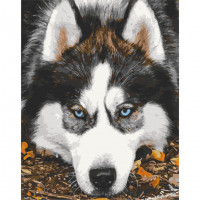 Картина за номерами "Засмучений хаскі" Art Craft 40х50 см 11509-AC ArtCraft Арт:33297 Картина за номерами "Засмучений хаскі" Art Craft 40х50 см 11509-AC ArtCraft Арт:33297