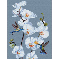 Картина за номерами "Квітучі орхідеї" ©annasteshka KHO3241 Ідейка 30х40 см Ідейка Арт:32146 Картина за номерами "Квітучі орхідеї" ©annasteshka KHO3241 Ідейка 30х40 см Ідейка Арт:32146