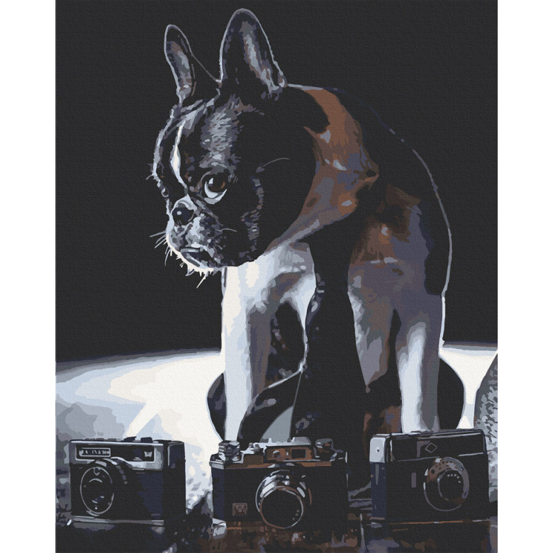 Картина за номерами. Art Craft Сором'язливий фотограф 40х50 см 11642-AC ArtCraft Арт:20486