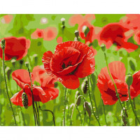 Картина за номерами "Червоні маки" BS53703, 40х50см Brushme Арт:36992 Картина за номерами "Червоні маки" BS53703, 40х50см Brushme Арт:36992
