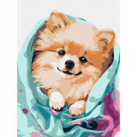 Картина за номерами "Щасливий шпіц" ©art_selena_ua KHO6545 30х40 см Ідейка Арт:34540 Картина за номерами "Щасливий шпіц" ©art_selena_ua KHO6545 30х40 см Ідейка Арт:34540