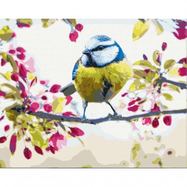 Картина за номерами "Весняна синичка" BS51439  Brushme 40х50 см Brushme Арт:31428