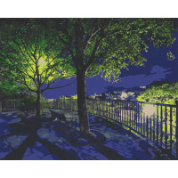 Картина за номерами. Art Craft Нічний парк 40х50 см 10585-AC ArtCraft Арт:20468 Картина за номерами. Art Craft Нічний парк 40х50 см 10585-AC ArtCraft Арт:20468