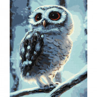 Картина за номерами "Чудо-cова" ©Neag Mircea Marius Ідейка KHO4458 40х50 см Ідейка Арт:27117 Картина за номерами "Чудо-cова" ©Neag Mircea Marius Ідейка KHO4458 40х50 см Ідейка Арт:27117