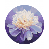 Картина за номерами "Ніжна півонія" © Anna Steshenko Brushme RC00074M 30 см  Brushme Арт:39937 Картина за номерами "Ніжна півонія" © Anna Steshenko Brushme RC00074M 30 см  Brushme Арт:39937