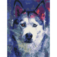 Картина за номерами "Погляд Хаскі" Brushme RBS51460 40x50 см Brushme Арт:39921 Картина за номерами "Погляд Хаскі" Brushme RBS51460 40x50 см Brushme Арт:39921