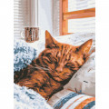 Картина за номерами "Ранковий котик" Brushme RBS52320 30х40 см Brushme Арт:30376