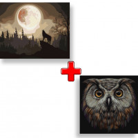 Набір картин за номерами 2 в 1 Ідейка "Містичний ліс" 40х50 KHO4291 та "Птах мудрості" 40х40 KHO4388 Ідейка Арт:35176