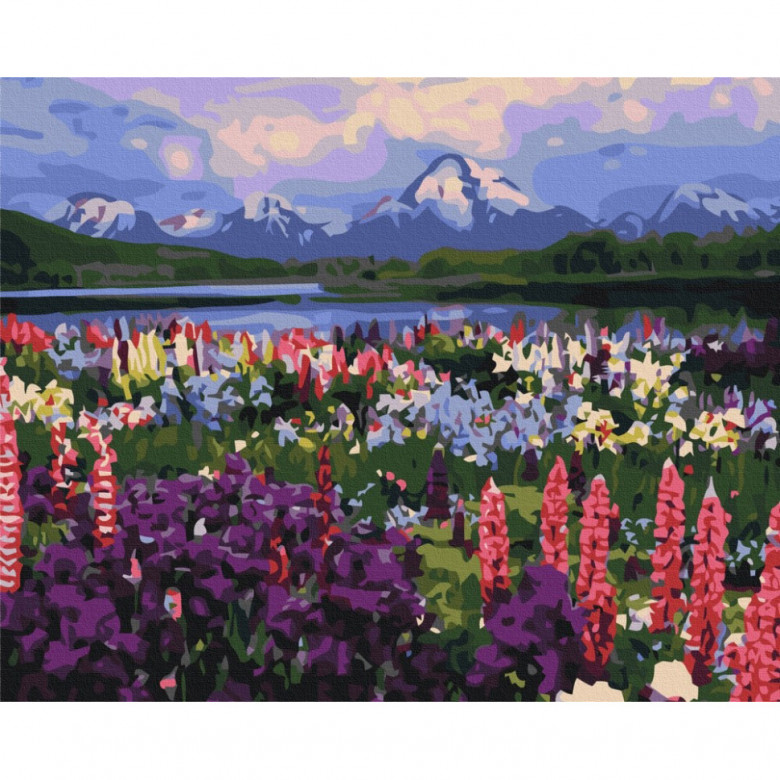 Картина за номерами "Долина польових квітів" BS21019, 40х50 см  Brushme Арт:36583