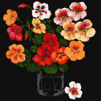 Картина за номерами "Настурції" ©kovtun_olga_art Ідейка KHO2915 40х40 см Ідейка Арт:29974 Картина за номерами "Настурції" ©kovtun_olga_art Ідейка KHO2915 40х40 см Ідейка Арт:29974