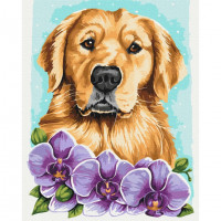 Картина за номерами "Золотистий ретривер" © Anna Kulyk Brushme BS53583 40х50 см Brushme Арт:30395 Картина за номерами "Золотистий ретривер" © Anna Kulyk Brushme BS53583 40х50 см Brushme Арт:30395