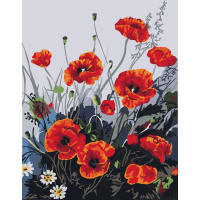 Картина за номерами. Art Craft "Барвисті маки" 40x50 см 13105-AC ArtCraft Арт:14934 Картина за номерами. Art Craft "Барвисті маки" 40x50 см 13105-AC ArtCraft Арт:14934