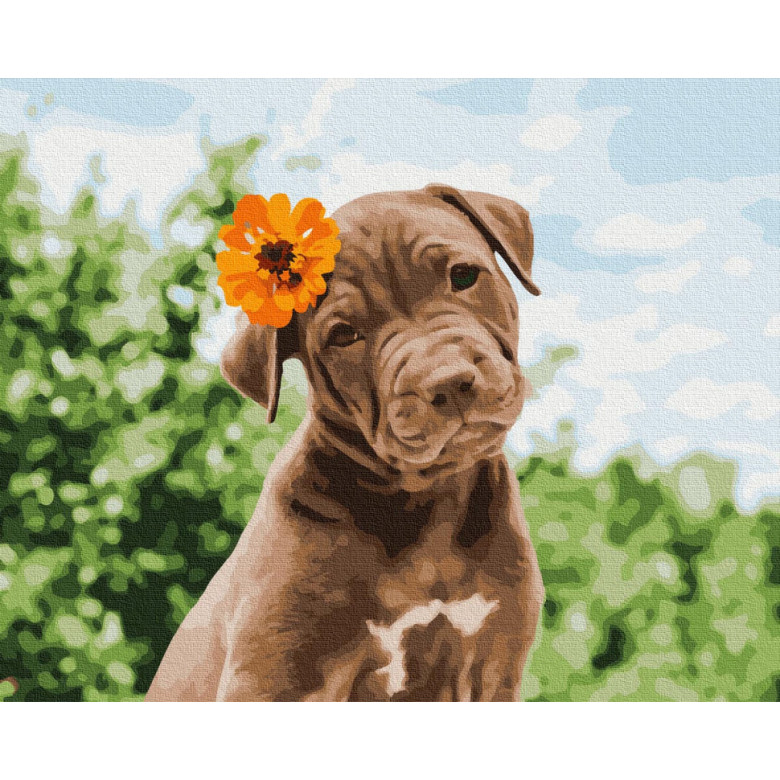 Картина за номерами Brushme. "Собачка милий романтик" GX37552 Brushme Арт:17457