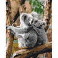 Картина за номерами "Сім'я коал" Brushme BS52451 40х50 см Brushme Арт:29124