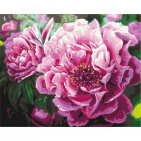 Картина за номерами "Розкішний піон" Brushme BS4667 40х50 см Brushme Арт:28931 Картина за номерами "Розкішний піон" Brushme BS4667 40х50 см Brushme Арт:28931