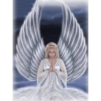 Купить Алмазная вышивка квадратные камни 40 х 50 см Свет с небес (арт. FS853) Купить Алмазная вышивка квадратные камни 40 х 50 см Свет с небес (арт. FS853)