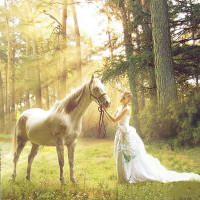 Купить Алмазная вышивка Лесная прогулка 30 х 30 см (арт. FR471) Купить Алмазная вышивка Лесная прогулка 30 х 30 см (арт. FR471)