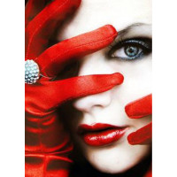 Купить Алмазная вышивка квадратные камни Леди в красном 40 х 30 см (арт. FS777) Купить Алмазная вышивка квадратные камни Леди в красном 40 х 30 см (арт. FS777)