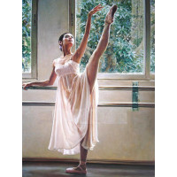 Купить Алмазная вышивка Танец балерины 40 х 50 см (арт. FS780) Купить Алмазная вышивка Танец балерины 40 х 50 см (арт. FS780)