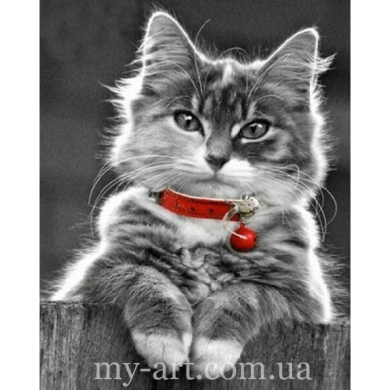 Купить Алмазная вышивка круглые стразы 40 х 50 см на подрамнике Любимый котик (арт. AR-3131) без коробки