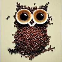 Купить Алмазная вышивка Сова с кофе 30 х 40 см (арт. FR144) Купить Алмазная вышивка Сова с кофе 30 х 40 см (арт. FR144)