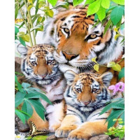 Купить Алмазная вышивка полная выкладка Тигры 30 х 40 см (арт. FS541) Купить Алмазная вышивка полная выкладка Тигры 30 х 40 см (арт. FS541)
