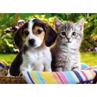 Купить Алмазная вышивка Щенок и котенок 30 х 40 см (арт. FR544) Купить Алмазная вышивка Щенок и котенок 30 х 40 см (арт. FR544)