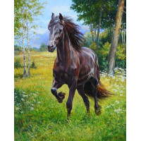 Купить Алмазная вышивка на подарок Дикая лошадь 30 х 40 см (арт. FR547) Купить Алмазная вышивка на подарок Дикая лошадь 30 х 40 см (арт. FR547)