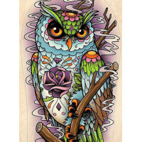 Купить Комплект для алмазной выкладки Сова 30 х 40 см (арт. FR582) квадратные камни Купить Комплект для алмазной выкладки Сова 30 х 40 см (арт. FR582) квадратные камни