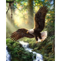 Купить Алмазна вишивка Дикий птаха 50 х 40 см (арт. FR682)